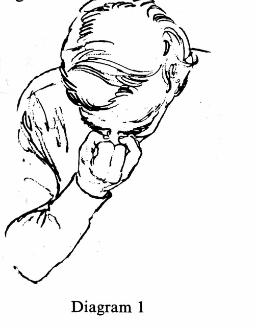 A hand-drawn diagram depicting a view of Menuhin from the top of his head. Holding the right hand close to the top of the nose, the index and middle fingers are bent inwards to the palm of the hands, while the thumb pinches the right side of the nose, and the fourth and fifth fingers pinch the left side.